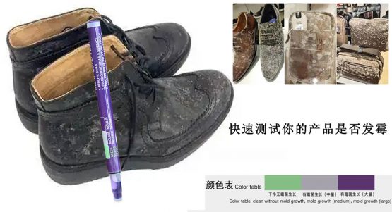 快速测试产品是否感染霉菌方法