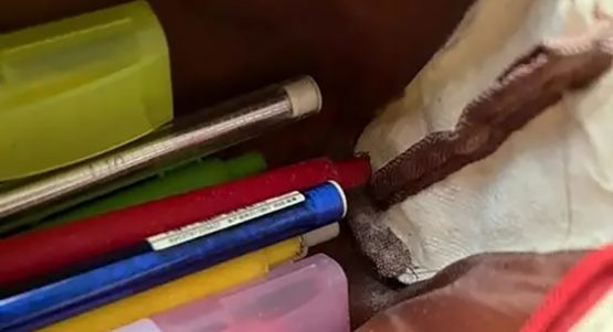 文具发霉翻箱除霉方案