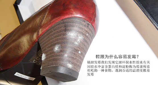 防霉片和干燥剂有什么区别？核心差异与选用指南