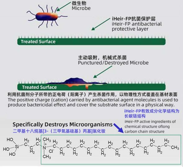 iHeir-FP发泡抗菌剂