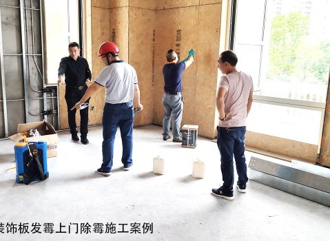 别墅装饰板发霉交付给艾浩尔翻箱团队上门除霉施工服务