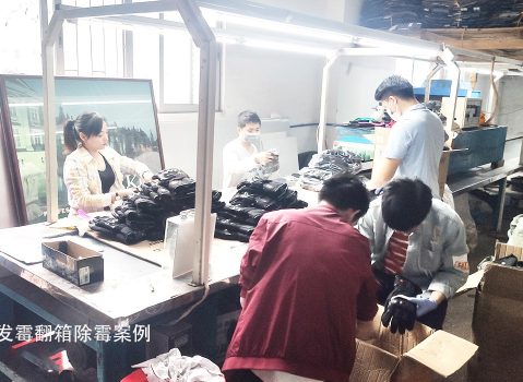工厂手套发霉交付给艾浩尔翻箱团队除霉施工服务