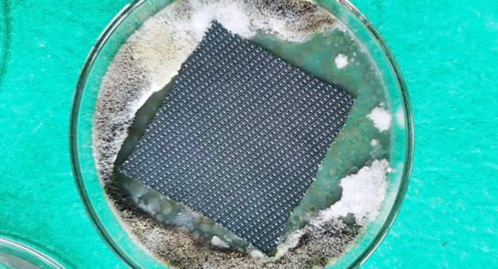 纺织防霉剂加工工艺测试