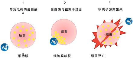 抗菌剂的作用原理图