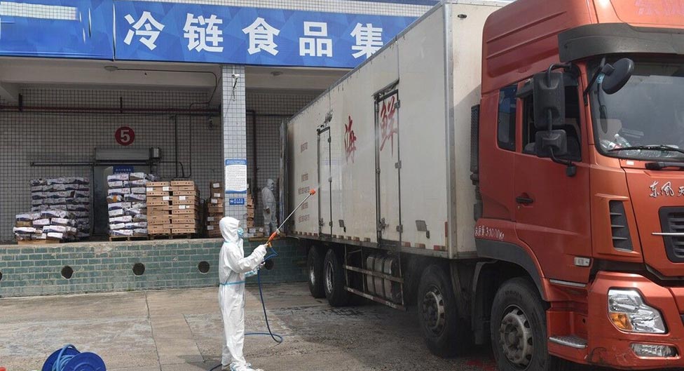 冷链海鲜食品运输防霉方案