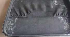 205