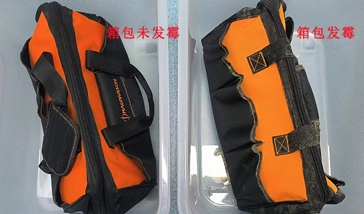 箱包发霉对比图