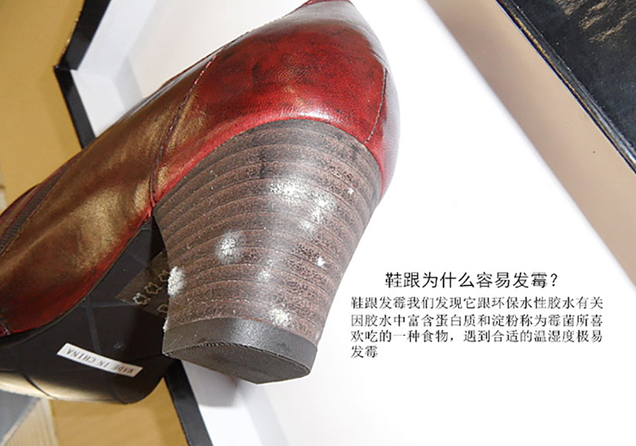 胶水防霉剂